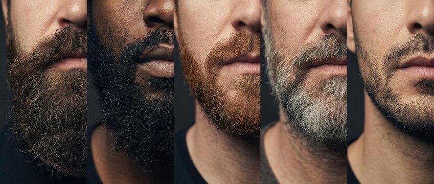 Diverse men showing various beard styles and facial hair lengths in studio