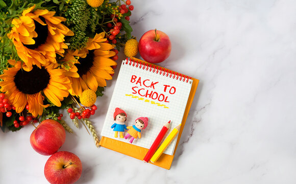 Back to school background. notepad, pencils, cute miniature dolls, apples and autumnal flowers bouquet on marble table. Education, beginning of the school year,  Knowledge Day, 1 September. flat lay