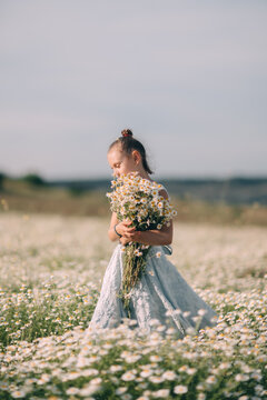 Summer meadow portrait featuring young girl holding bouquet of Matricaria chamomilla flowers while standing outdoors during a sunny day