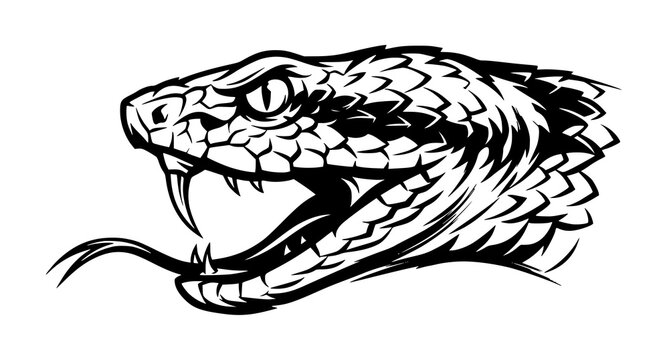 Fierce Viper Snake Head Side Profile Vector with Sharp Fang and Open Mouth