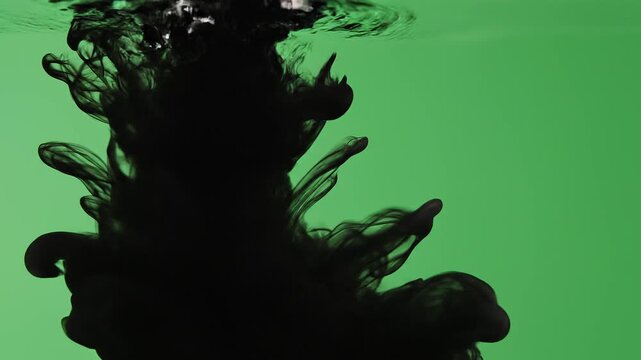 Black ink abstract drop swirling, dispersing in clear water isolated  green screen background. Chroma key video compositing visual effect motion graphic transition, artistic fluid liquid cloud texture