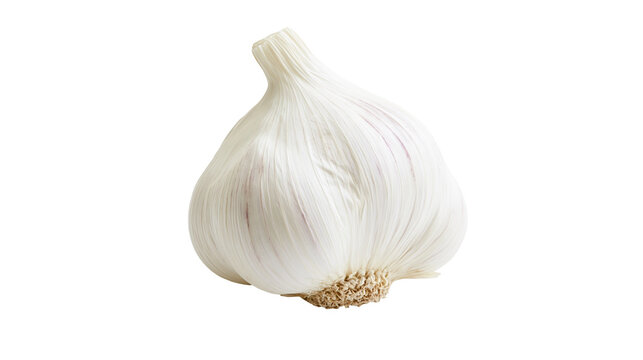 Single whole garlic bulb with papery white skin, isolated on transparent background
