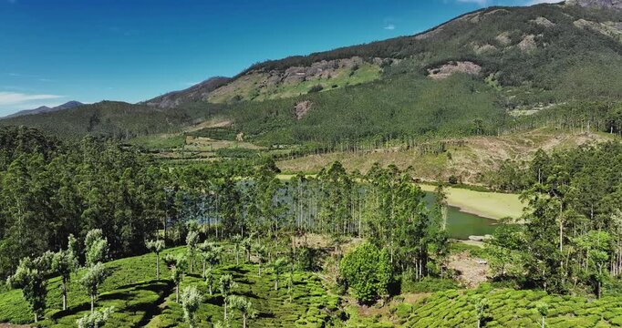 Aerial view of the lush green tea plantations of Munnar, Kerala, covering rolling hills under a bright blue sky with scattered clouds, the scenic beauty of this popular hill station in South India.