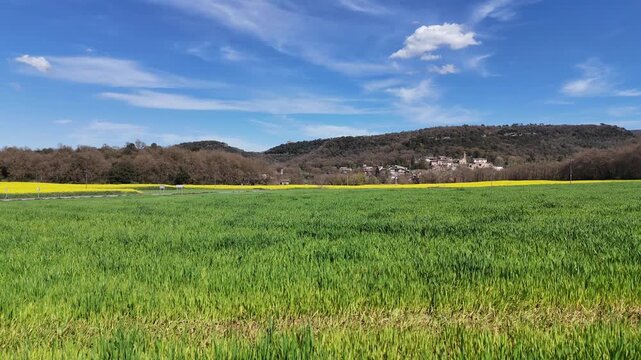 Scenic landscape view in the countryside. Lush green fields stretch across the horizon. Bright blue skies enhance the beauty of this tranquil environment.