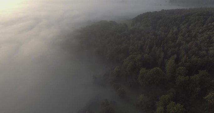 Dichter Nebel &uuml;ber Waldwipfeln bei Sonnenaufgang, gefilmt mit DJI Inspire 1 Pro und Zenmuse X3, D-Log