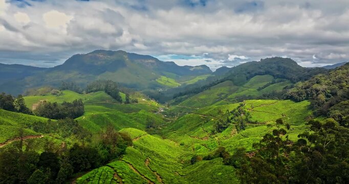 Aerial view of the lush green tea plantations of Munnar, Kerala, covering rolling hills under a bright blue sky with scattered clouds, the scenic beauty of this popular hill station in South India.