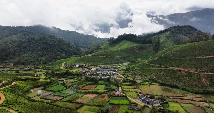Aerial view of the lush green tea plantations of Munnar, Kerala, covering rolling hills under a bright blue sky with scattered clouds, the scenic beauty of this popular hill station in South India.