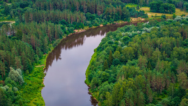 Aerial view showing smooth riverbed curve of Gauja River flowing past thick forest shoreline near Sigulda, Latvia