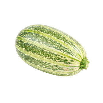 Fresh green and yellow striped zucchini squash
