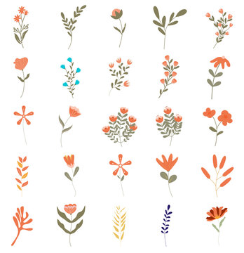 Beautiful romantic flower collection , leaves, floral bouquets, flower compositions
