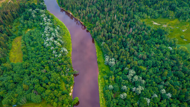 aerial view over Gauja River stream cutting directly between lush green forest trees near Sigulda, Latvia