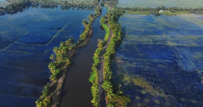 Aerial view of rural Kerala featuring lush coconut palm plantations, quiet village roads, and serene backwaters reflecting the sky, capturing the peaceful tropical landscape of South India.