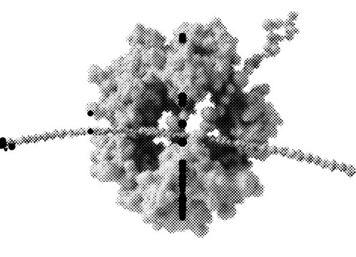 Protein ribosome complex biology in science molecular molecule of cellular cell structure scientific research genetics rna translation synthesis