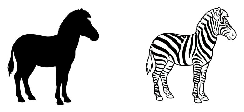 Zebra Illustration Set, Featuring a Solid Silhouette and a Striped Animal Design. Graphic Animal Icon, Vector Design.