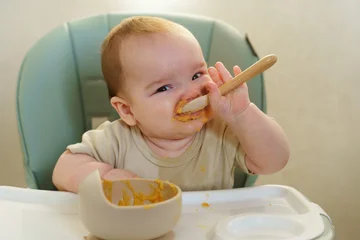 Baby at mealtime: a moment of independent feeding in a high chair. © olgasparrow