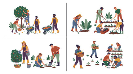 Fototapeta premium Agricultural workers harvesting crops on farm for food production.