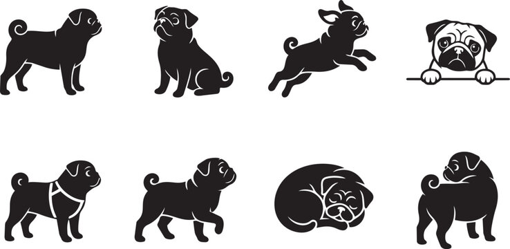 Diverse black silhouettes of cute pug dogs in various playful poses featuring running sitting sleeping and standing flat vector icons