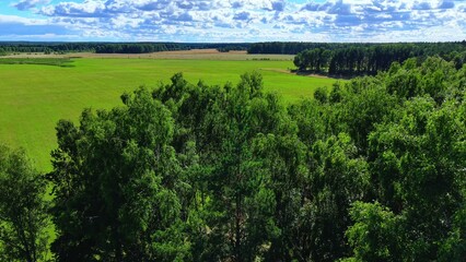 Naklejka premium Lush green trees in a vast meadow under a bright, partly cloudy sky