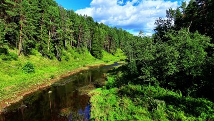 Naklejka premium Lush green landscape with riverbank reflecting the blue sky and vibrant trees in summer