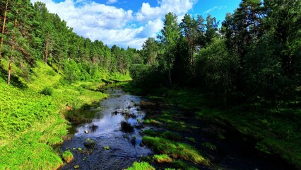 Naklejka premium Clear flowing river surrounded by lush green trees and vibrant blue sky in summer scenery