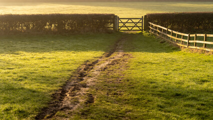 Fototapeta premium Worn footpath across lawn to wooden gate, habit formation and daily routine concept