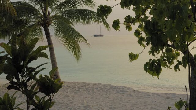 Static wide view of a calm turquoise lagoon and anchored sailing yacht framed by lush palms above a white sand beach on Vilamendhoo Island in the Maldives.