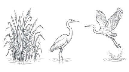 Naklejka premium Minimalist heron sketches featuring marsh grass and water splash.