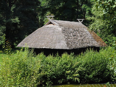 A straw roof among green trees and bushes