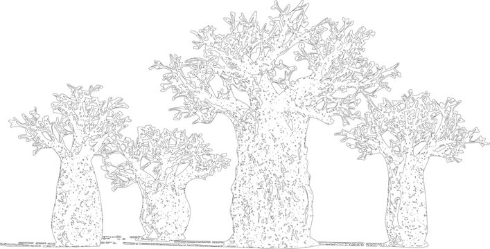 Black and white line art illustration of a group of baobab trees