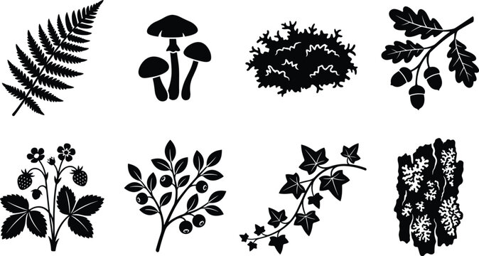 Set of black silhouettes of forest plants, wild berries, mushrooms, and woodland elements isolated on white background