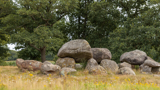 Idyllic image of dolmen D15 surrounded by oak trees on a summer's day, Loon, Drenthe, the Netherlands