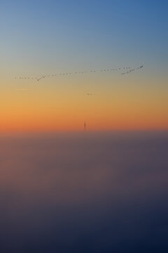 Beautiful, colorful, misty an moody sunrise over Groningen on a winter's day in February: migrating geese high in the sky, a distant airplane and a radio mast on the horizon