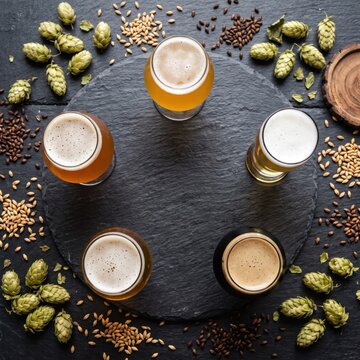 Overhead Flat Lay of Craft Beer Tasting Flight Glasses Arranged in Circle with Hops and Barley