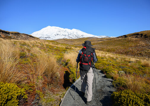 Hiking the Taranaki Falls Track. Snow-capped Mt Ruapehu rising in the distance. Tongariro National Park. New Zealand.
