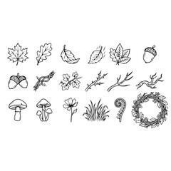 Fototapeta premium Autumn Leaves Mushrooms Branches and Botanical Line Art Vector Icon Set