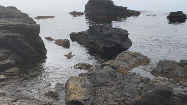 Primeros planos de piedras y rocas en la caleta