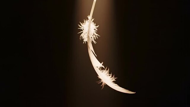 Feather Floating and Slowly Rotating in a Beam of Light