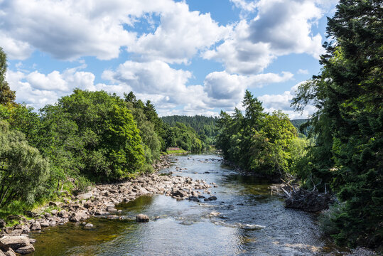 River Dee near Balmoral Castle, Scotland: A shallow rocky river flowing through dense summer forest, with clear water, green trees and distant hills creating a peaceful natural landscape in the UK