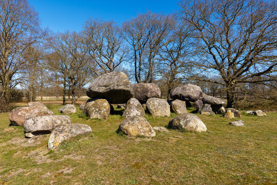 The mystical dolmen D15 surrounded by oak trees on a winter's day at Loon, Drenthe, the Netherlands