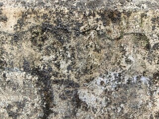 Fototapeta premium texture of stone