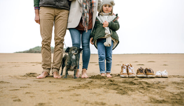 Low section of family with dog standing barefoot on the beach