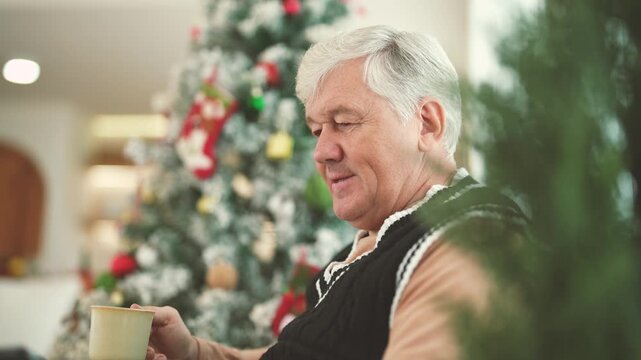 Senior man sitting at home, drinking tea beside Christmas tree, holiday season, Christmas celebration, winter lifestyle, retirement, senior lifestyle, family home, festive season.