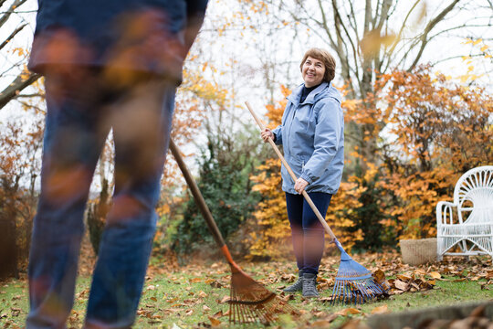 A happy couple rakes autumn leaves in their home garden