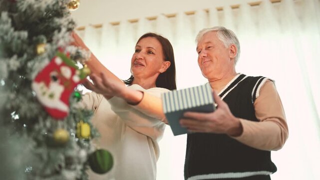 Elderly couple decorating Christmas tree in living room, holiday preparation, senior relationship, Christmas ornaments, family home, festive season, retirement lifestyle.