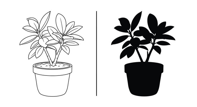 Potted plant illustration features a line drawing and a solid black silhouette on a white background pottedplant houseplant