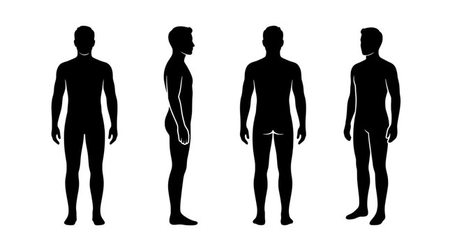 Set of four male human body silhouettes showing front, back and side views for anatomy or medical reference.