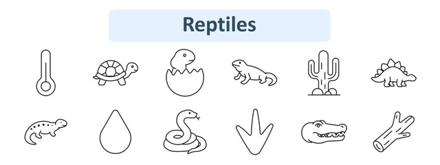 Reptiles set icon. Thermometer scale, turtle shell, hatching egg, lizard form, cactus plant, stegosaurus dinosaur, salamander form, water drop, snake, bird footprint, crocodile head, stick branch. © Anastasia