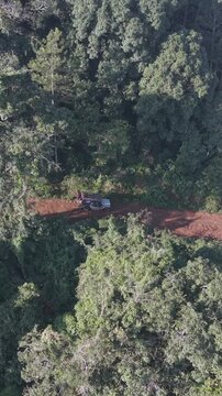 Vertical Aerial View of Forest Hills in Lambasingi, Andhra Pradesh, India