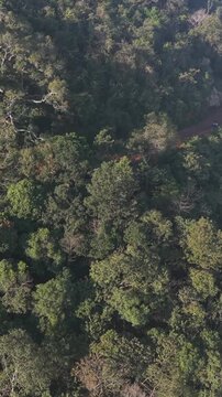 Vertical Aerial View of Forest Hills in Lambasingi, Andhra Pradesh, India