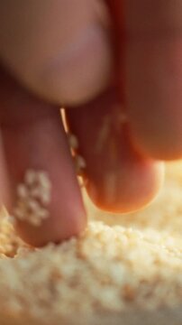 Man's hands pour sesame grains into bowl, creating flowing stream as he carefully inspects them, a close-up capturing the grains during a quality checking process for food manufacture in agriculture